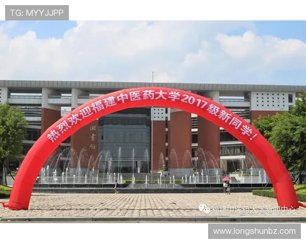 武汉乒乓球队的拼搏历程与荣耀时刻全景回顾